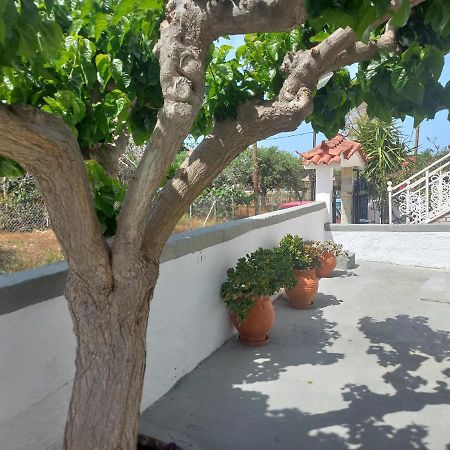 Mulberry House Hotel Elafonissos Bagian luar foto